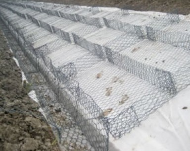 鄭州雙隔板雷諾護墊